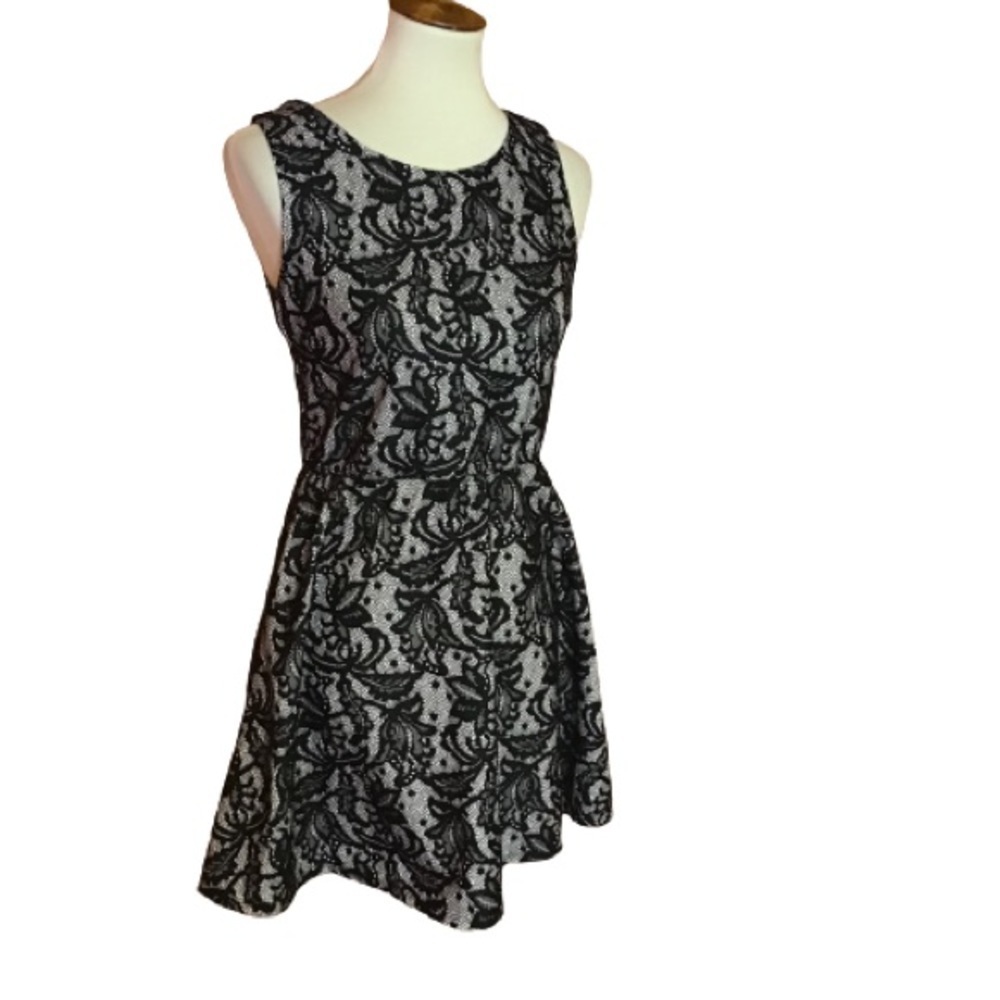 Heart Soul Black lace fit n flare mini dress